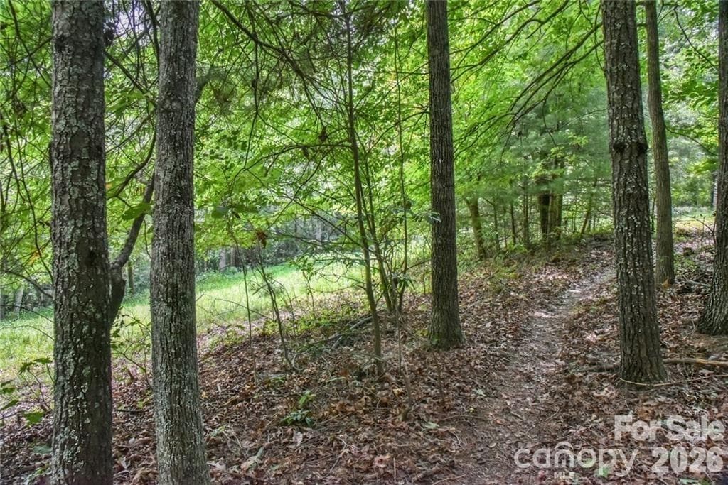 Acreage at 19 Laurel Loop Road, Fairview, photo 3 of 6