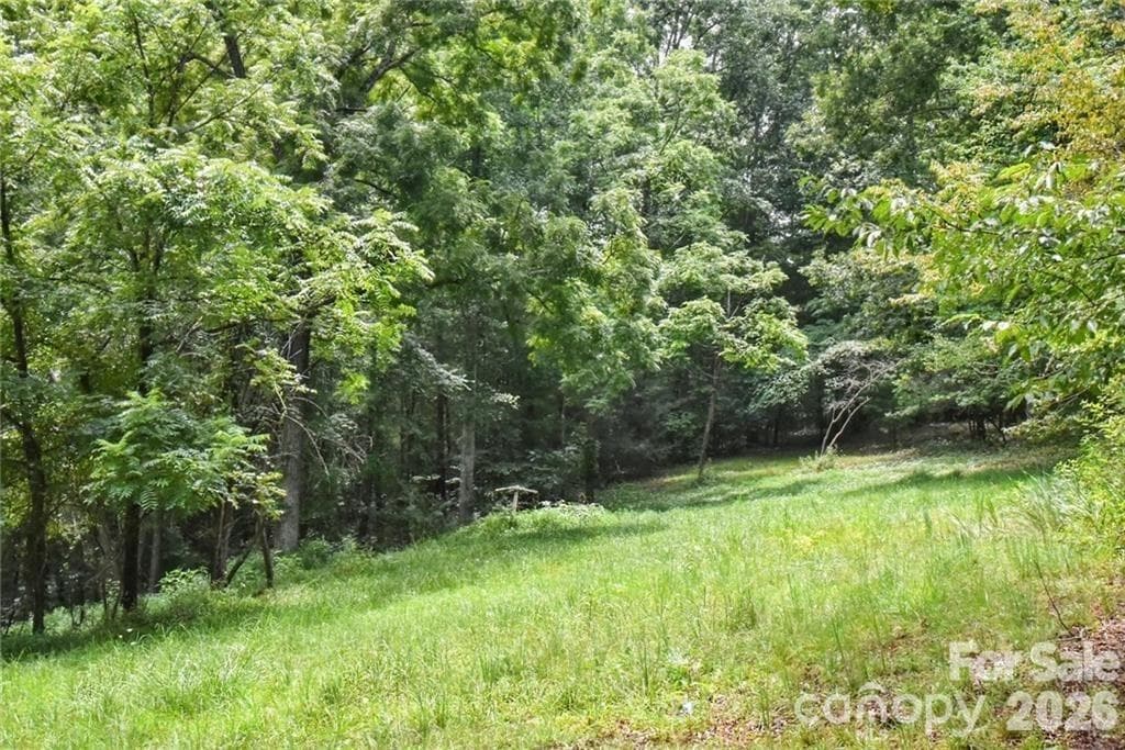 Acreage at 19 Laurel Loop Road, Fairview, photo 4 of 6