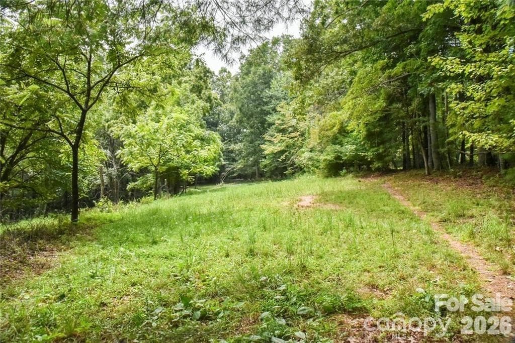 Acreage at 19 Laurel Loop Road, Fairview, photo 5 of 6