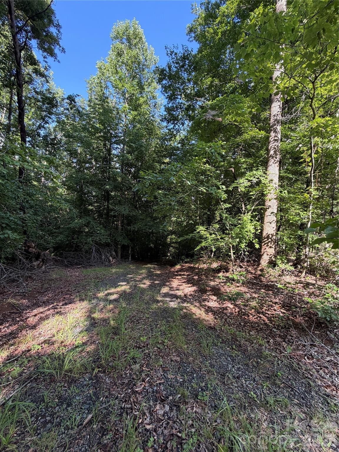Lot at 0 Greenhill Farms Drive, Rutherfordton, photo 2 of 10