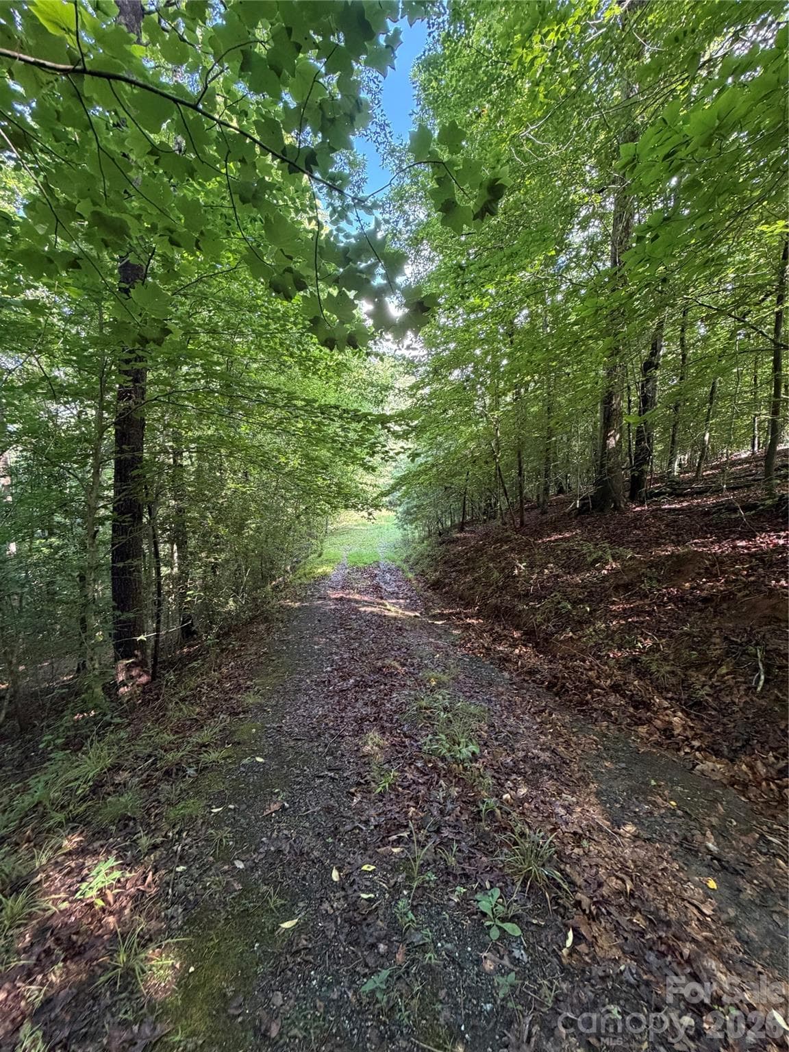 Lot at 0 Greenhill Farms Drive, Rutherfordton, photo 3 of 10