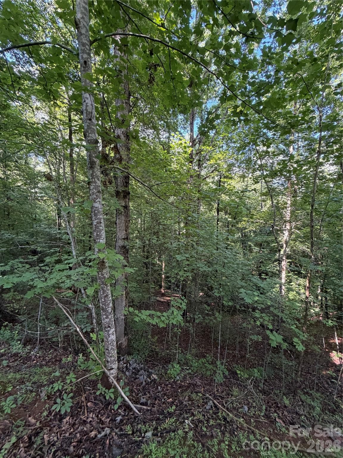 Lot at 0 Greenhill Farms Drive, Rutherfordton, photo 5 of 10
