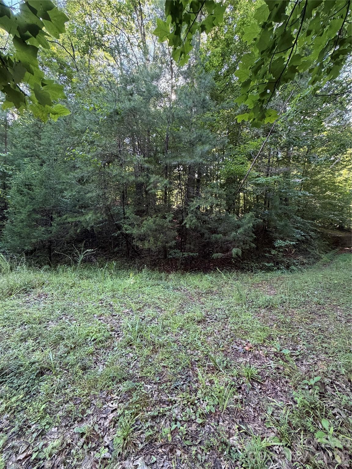 Lot at 0 Greenhill Farms Drive, Rutherfordton, photo 6 of 10