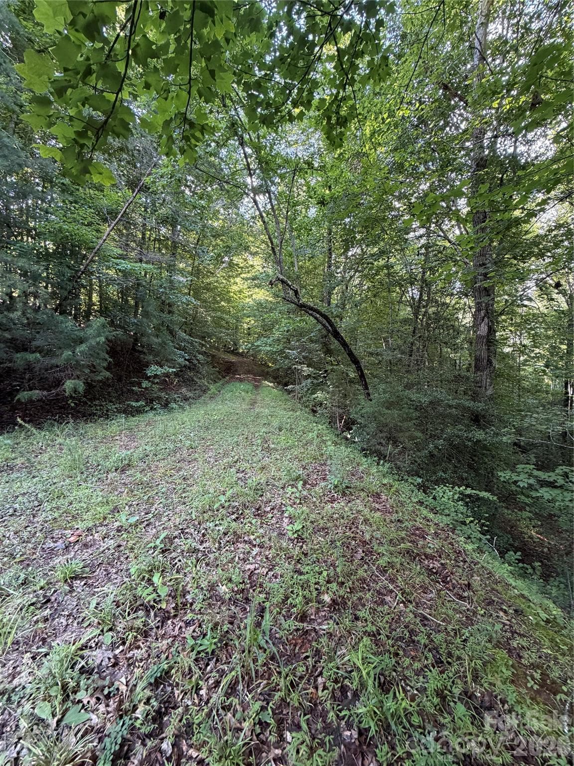 Lot at 0 Greenhill Farms Drive, Rutherfordton, photo 7 of 10