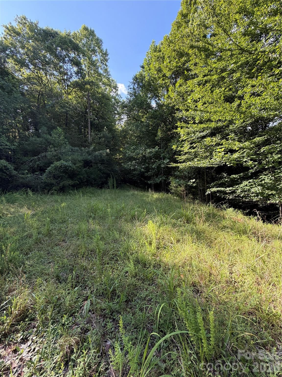 Lot at 0 Greenhill Farms Drive, Rutherfordton, photo 8 of 10