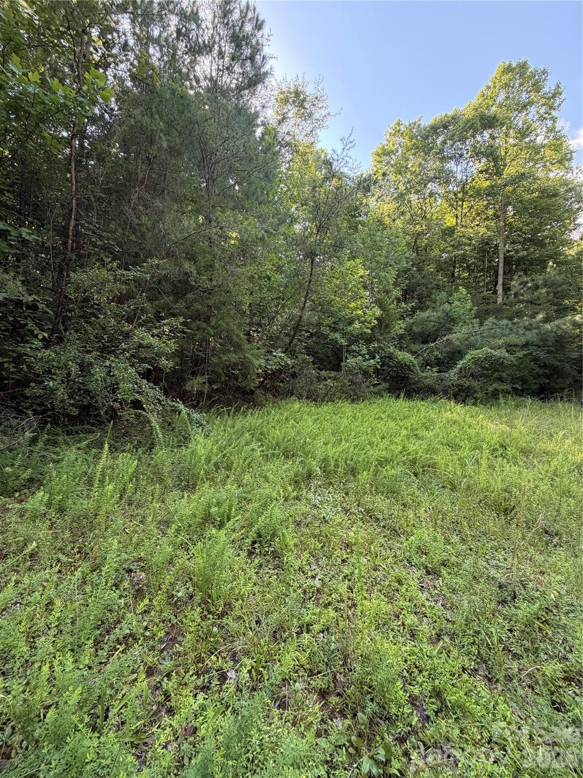 Lot at 0 Greenhill Farms Drive, Rutherfordton, photo 9 of 10