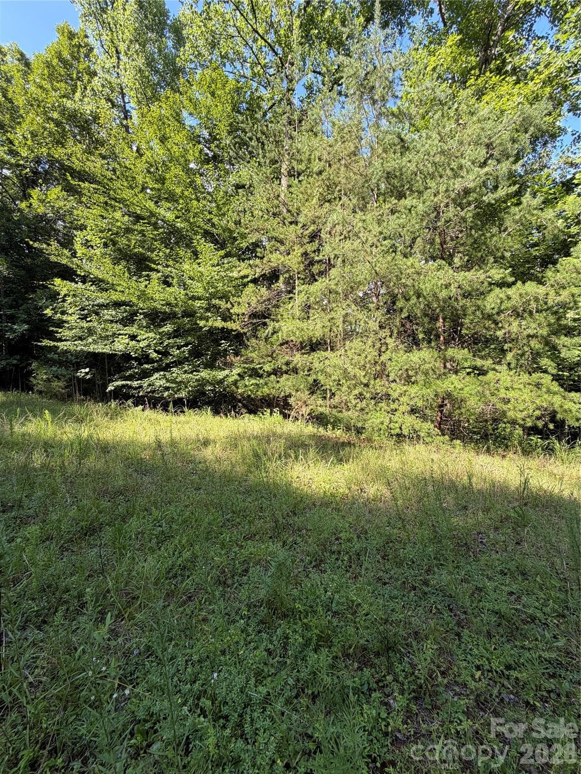 Lot at 0 Greenhill Farms Drive, Rutherfordton, photo 10 of 10