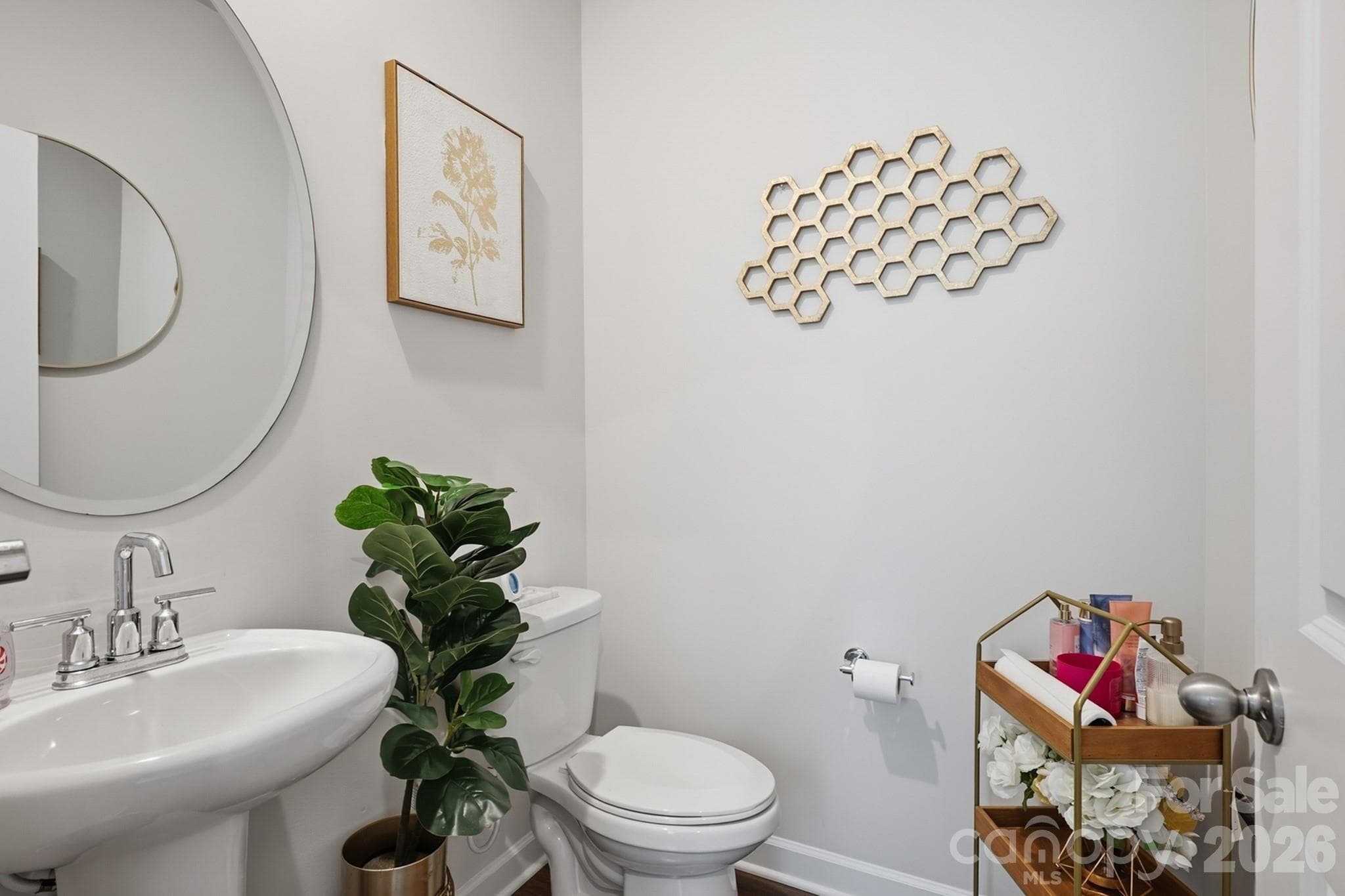 1/2 Bath - 571 Palmarosa Street, Fort Mill