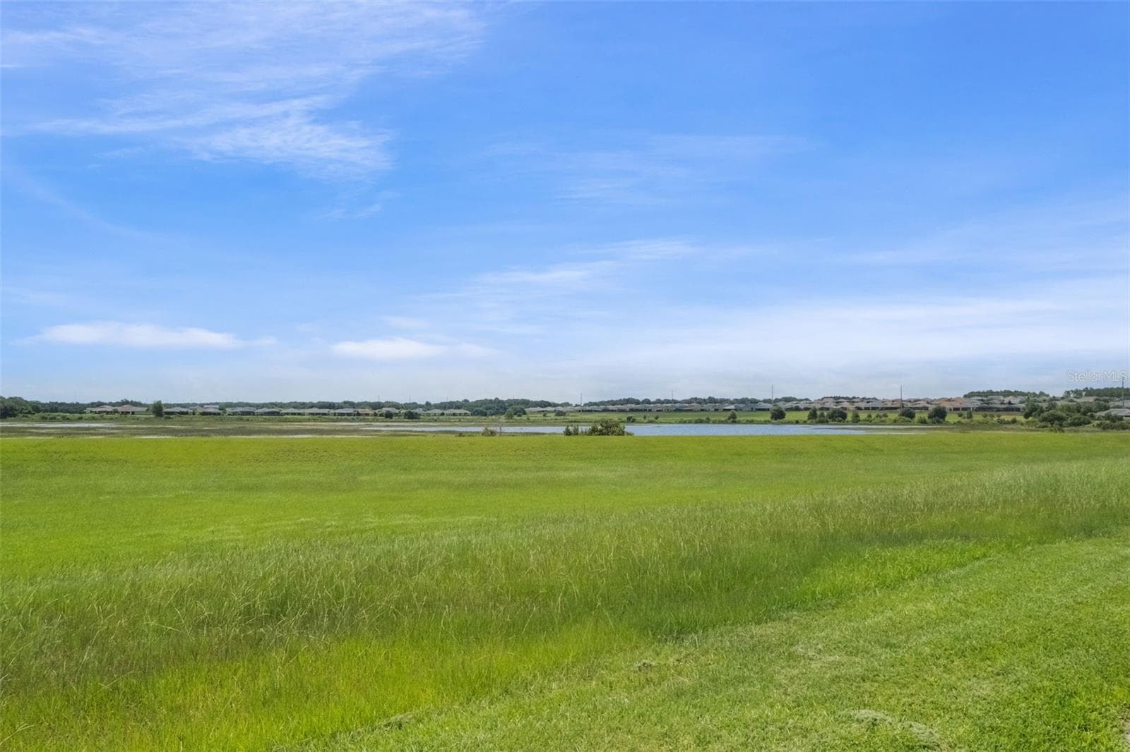Views of School House Lake from back porch - 290 SILVER MAPLE RD, GROVELAND