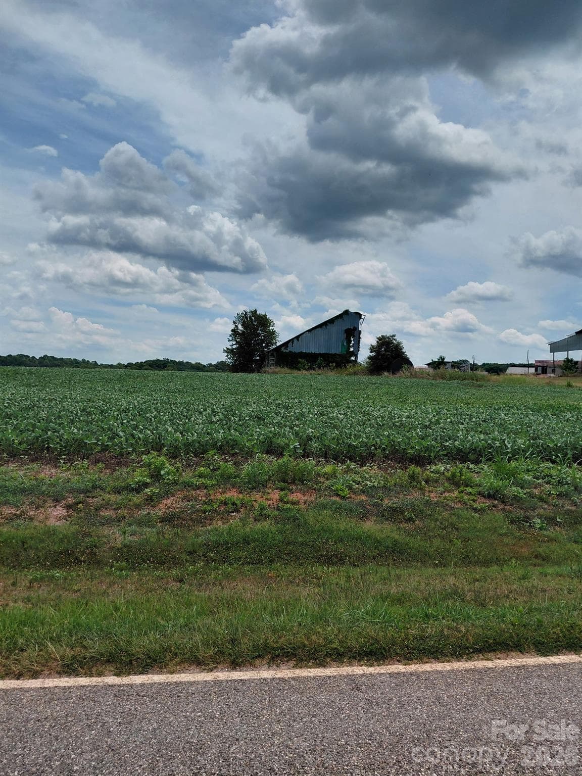Acreage at 000 Howards Bridge Road, Union Grove, photo 2 of 7