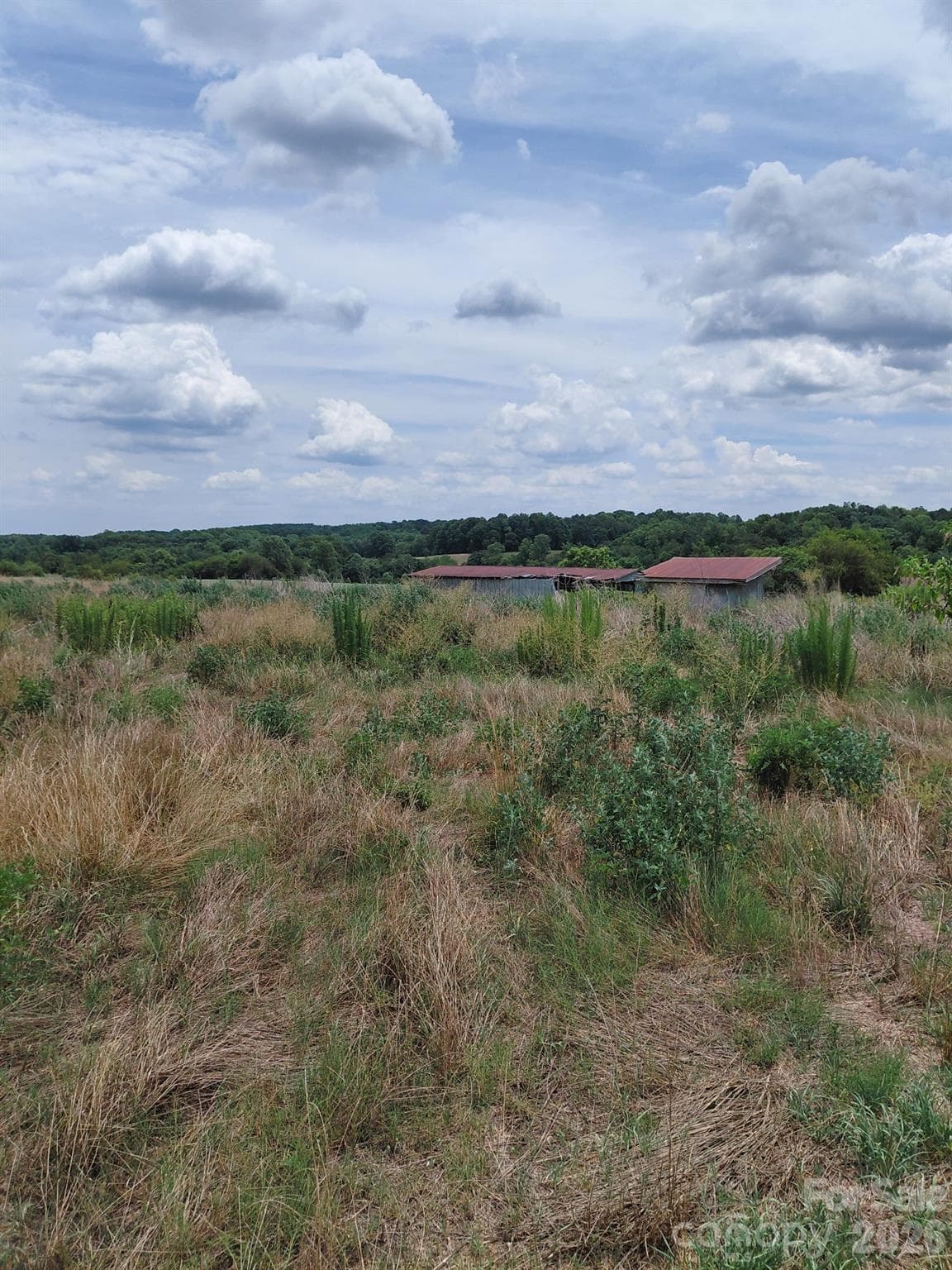 Acreage at 000 Howards Bridge Road, Union Grove, photo 4 of 7