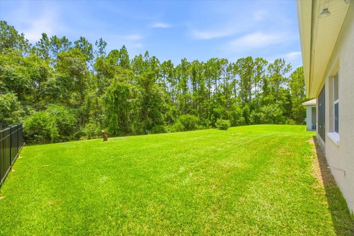 Back and Side Yard - 16224 SW MEAD ST, CLERMONT