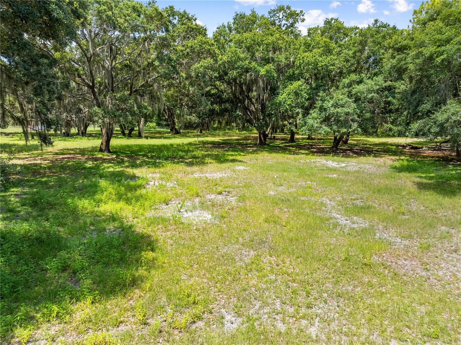 Land at 0 HICKORY TREE RD. SAINT CLOUD, FL #34772, ST CLOUD, photo 5 of 14