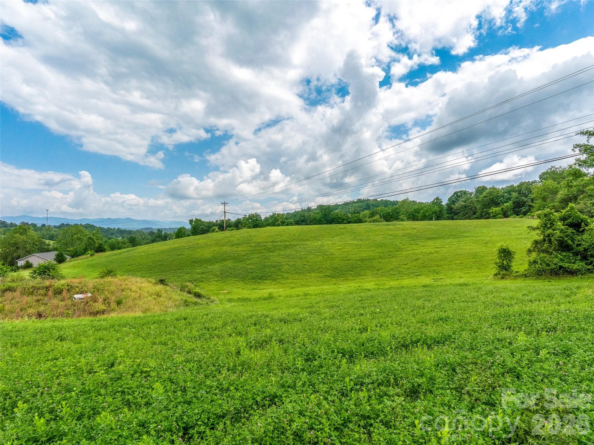 Perfect for a Private Estate or Mini Farm - 99999 Sprouse Town Road, Weaverville