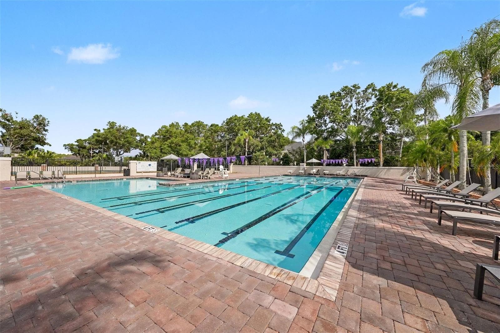 Community Amenities - 6112 CEZANNE AVE, LUTZ