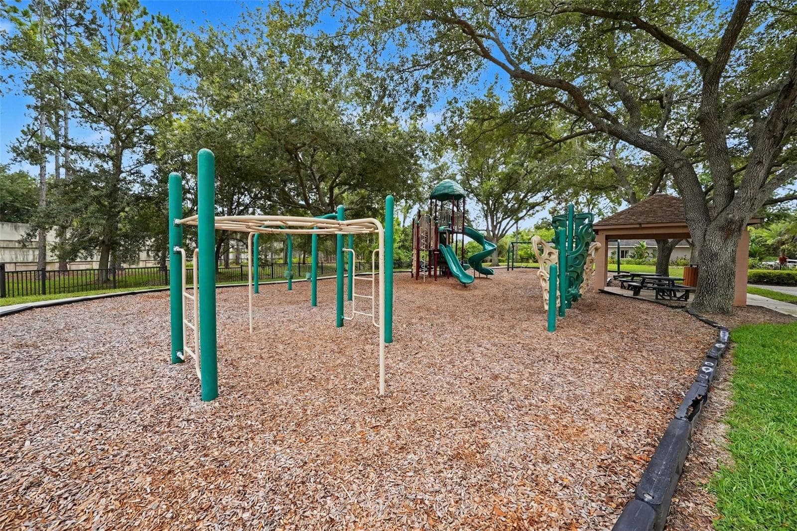 Community Amenities - 6112 CEZANNE AVE, LUTZ