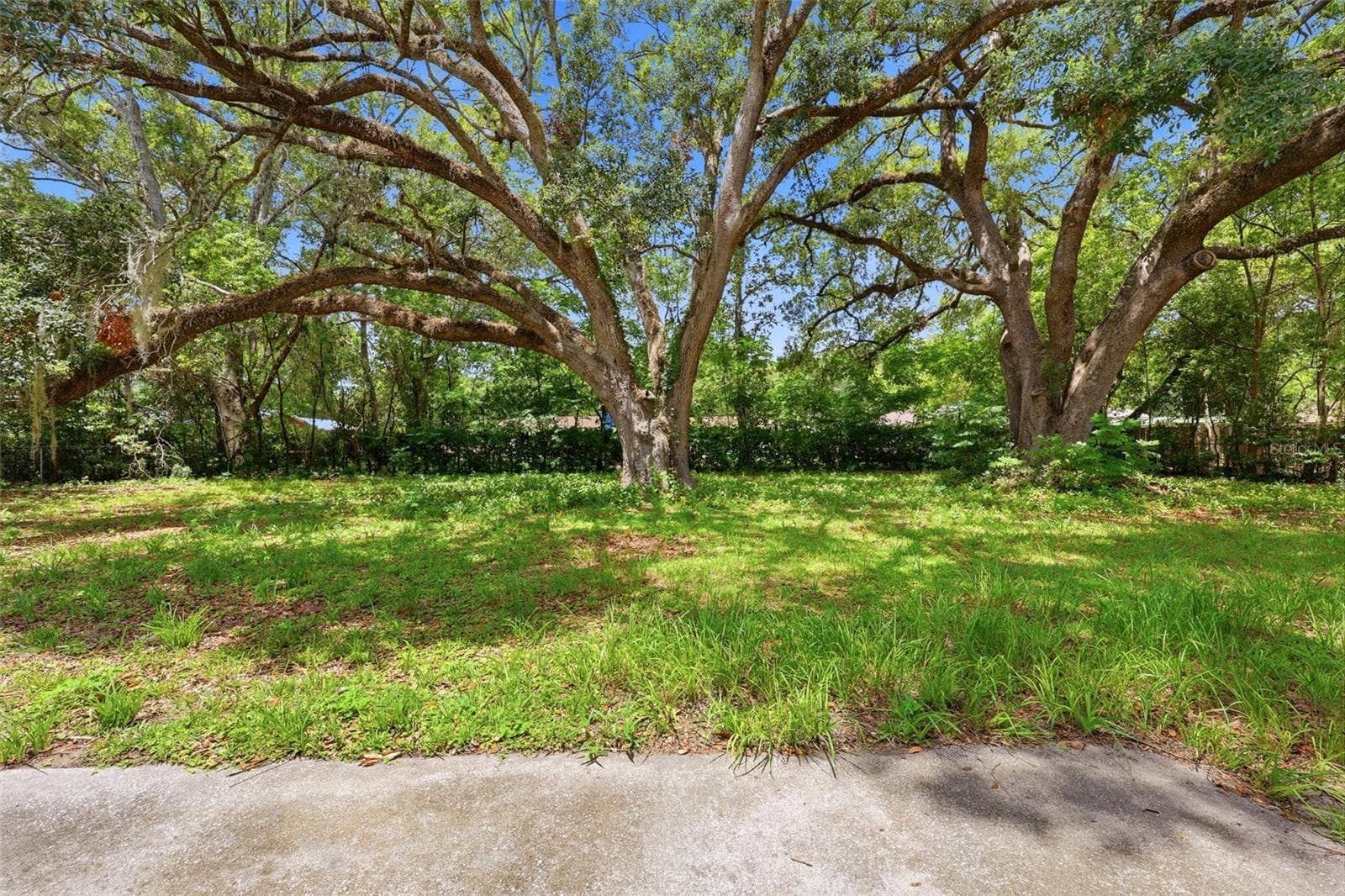 Backyard - 4628 NW 40TH ST, GAINESVILLE