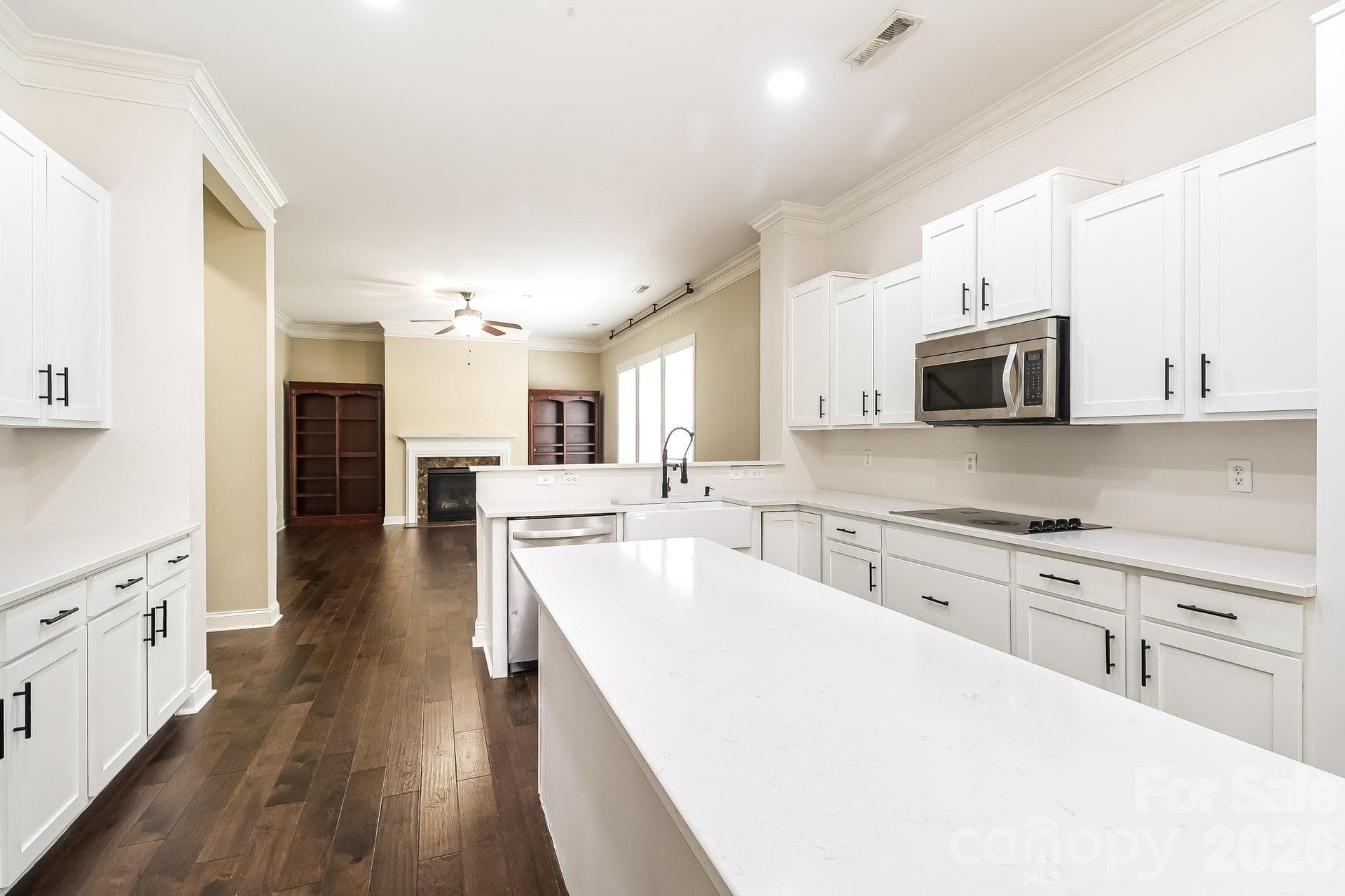 Single Family Residence at 10107 Daufuskie Drive, Charlotte, photo 6 of 23