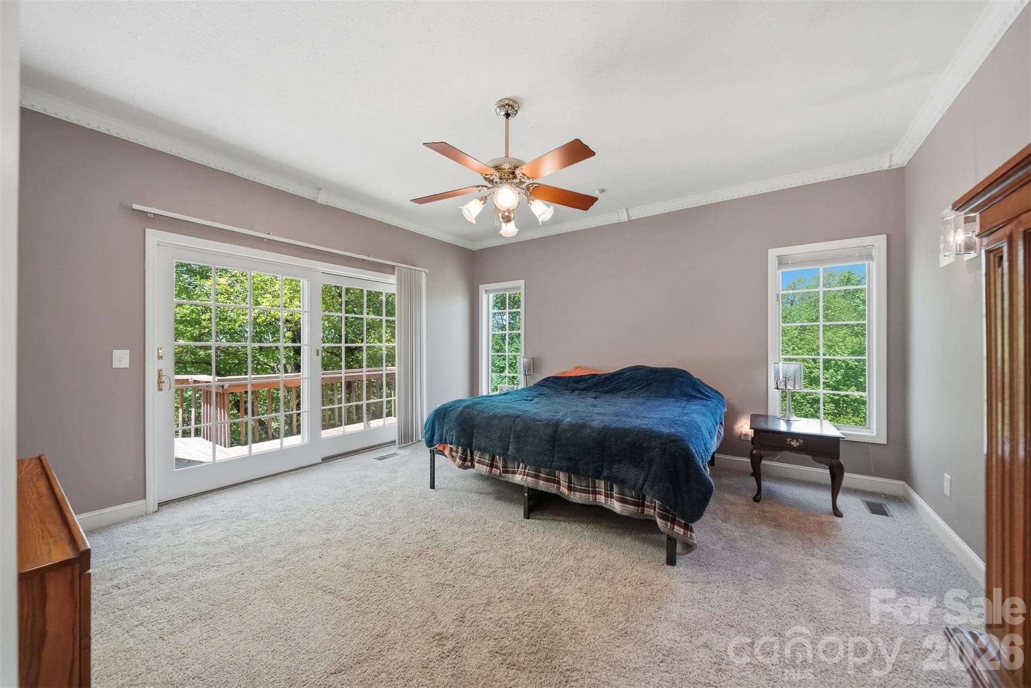 Primary Suite Main - 277 Rembrandt Drive, Boone