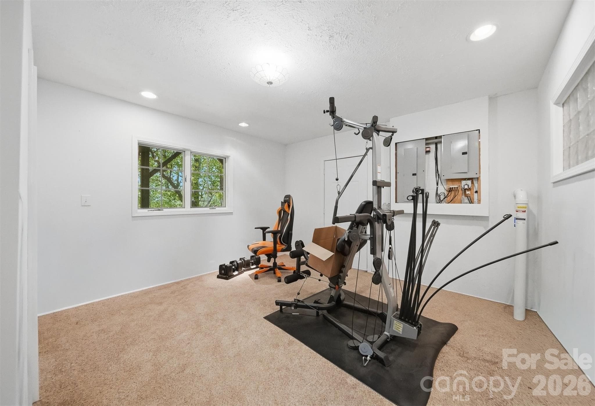 Lower Bonus room - 277 Rembrandt Drive, Boone