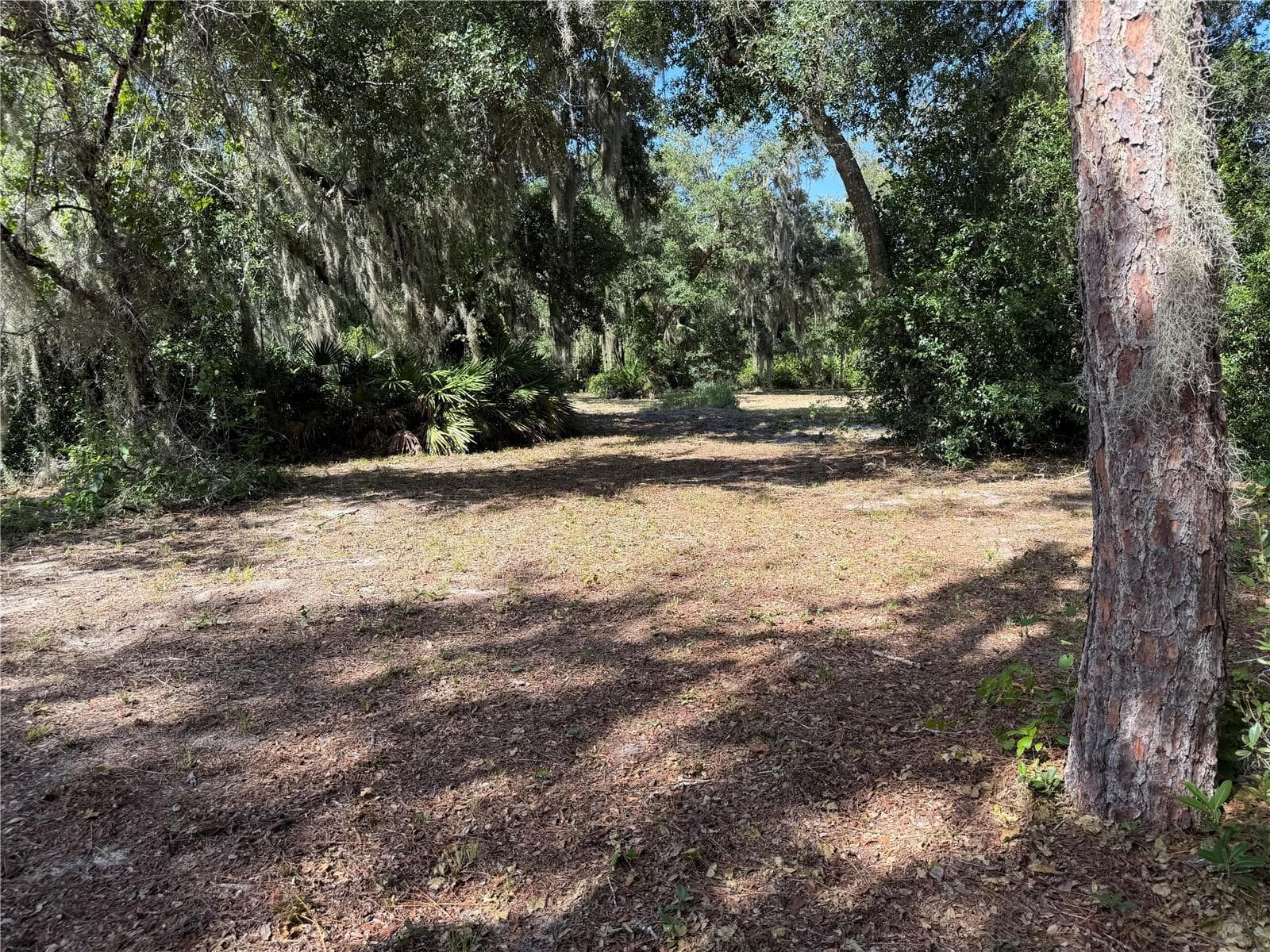 3113 BRIGHT LAKE CIR