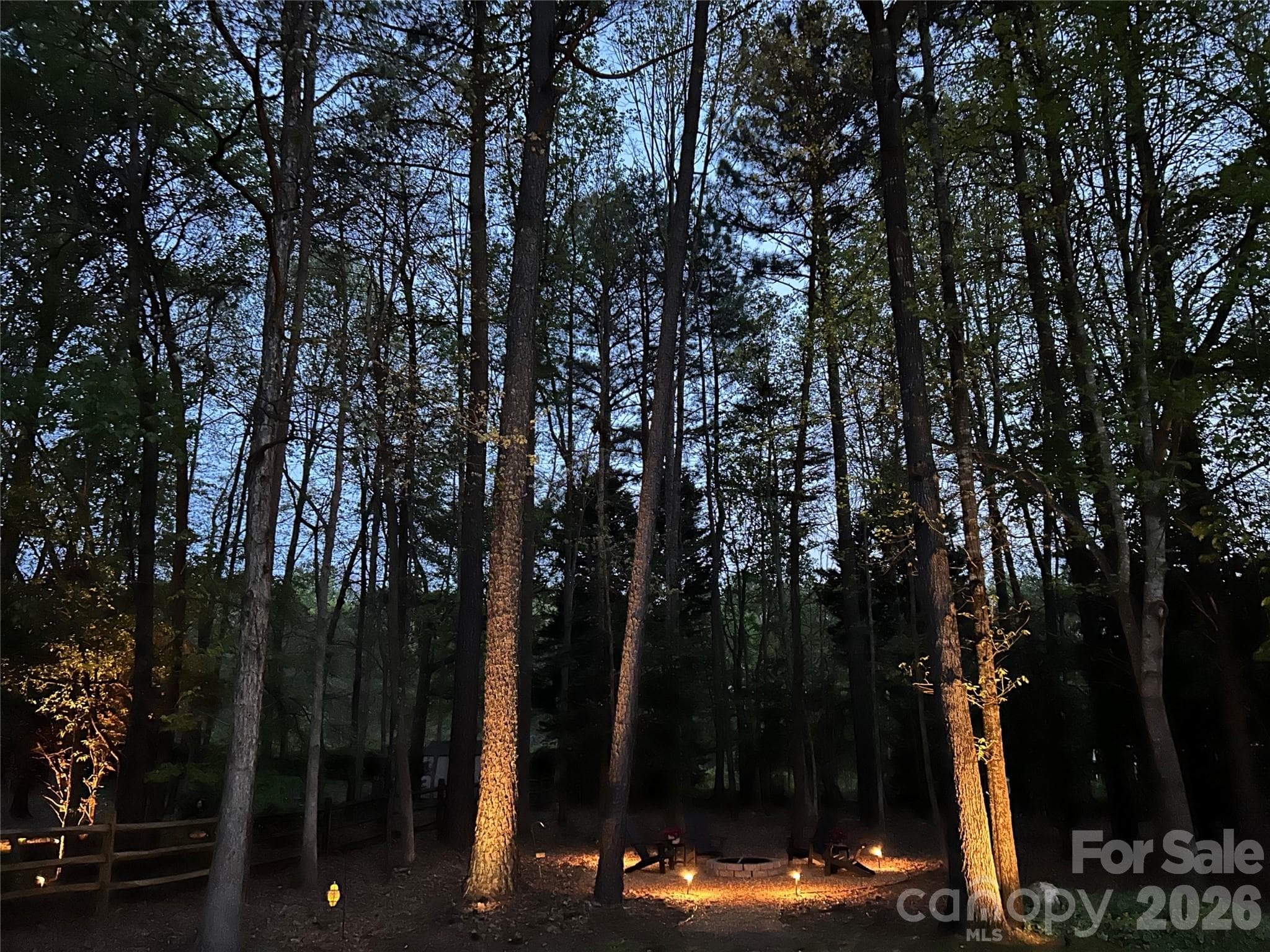 Uplit trees around the fire pit in backyard - 4034 Nicole Eileen Lane, Charlotte