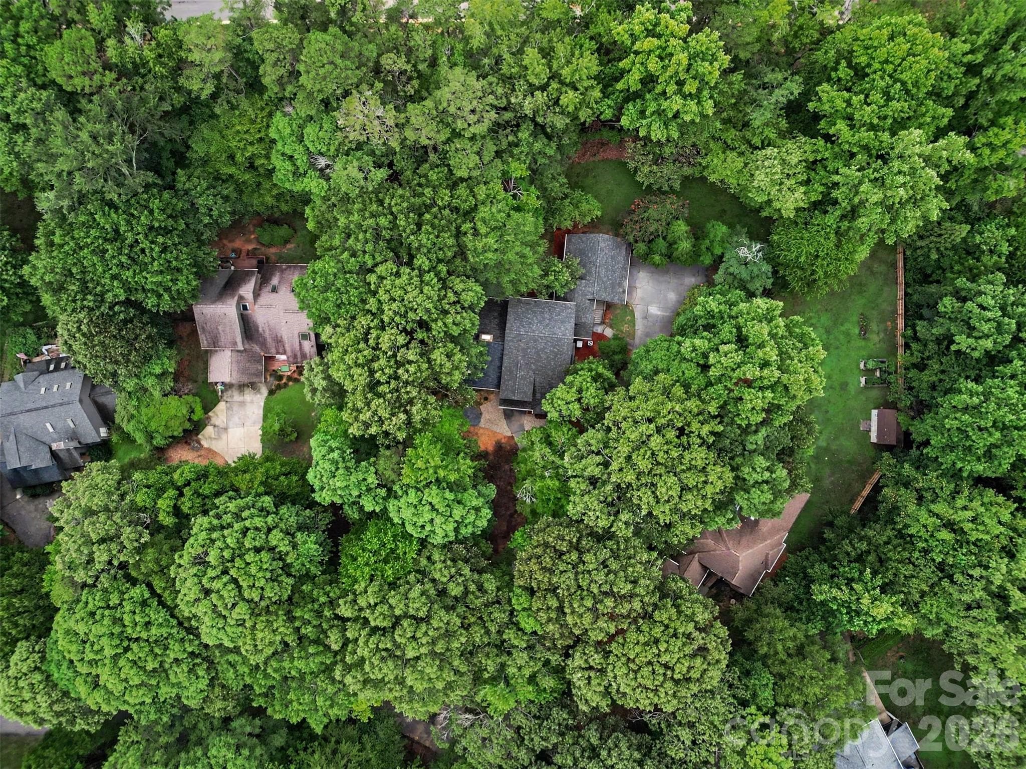 You'll love strolling through your new neighborhood full of mature trees. - 5042 Marci Lane, Belmont