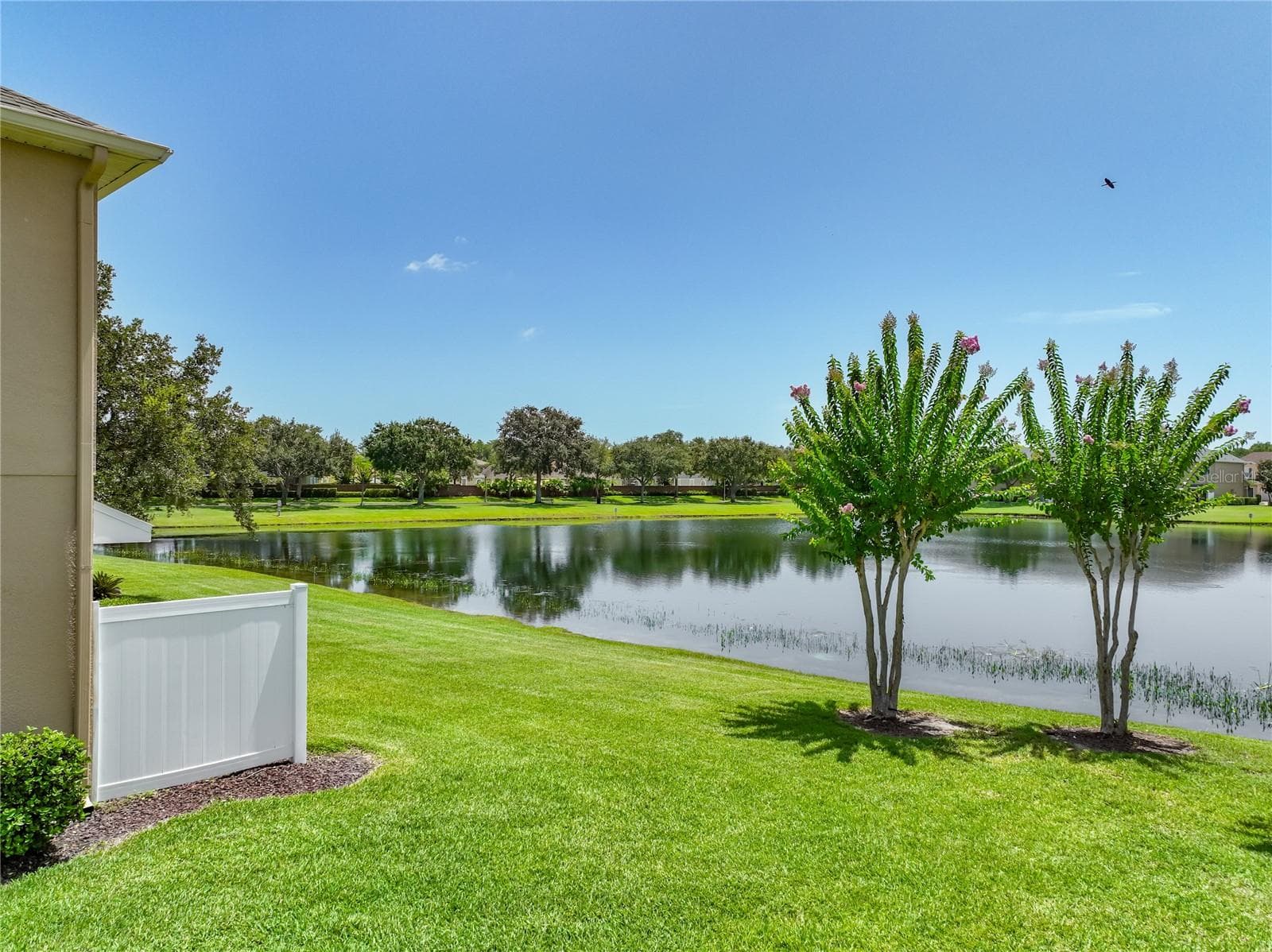 Backyard view - 16543 CEDAR CREST DR, ORLANDO