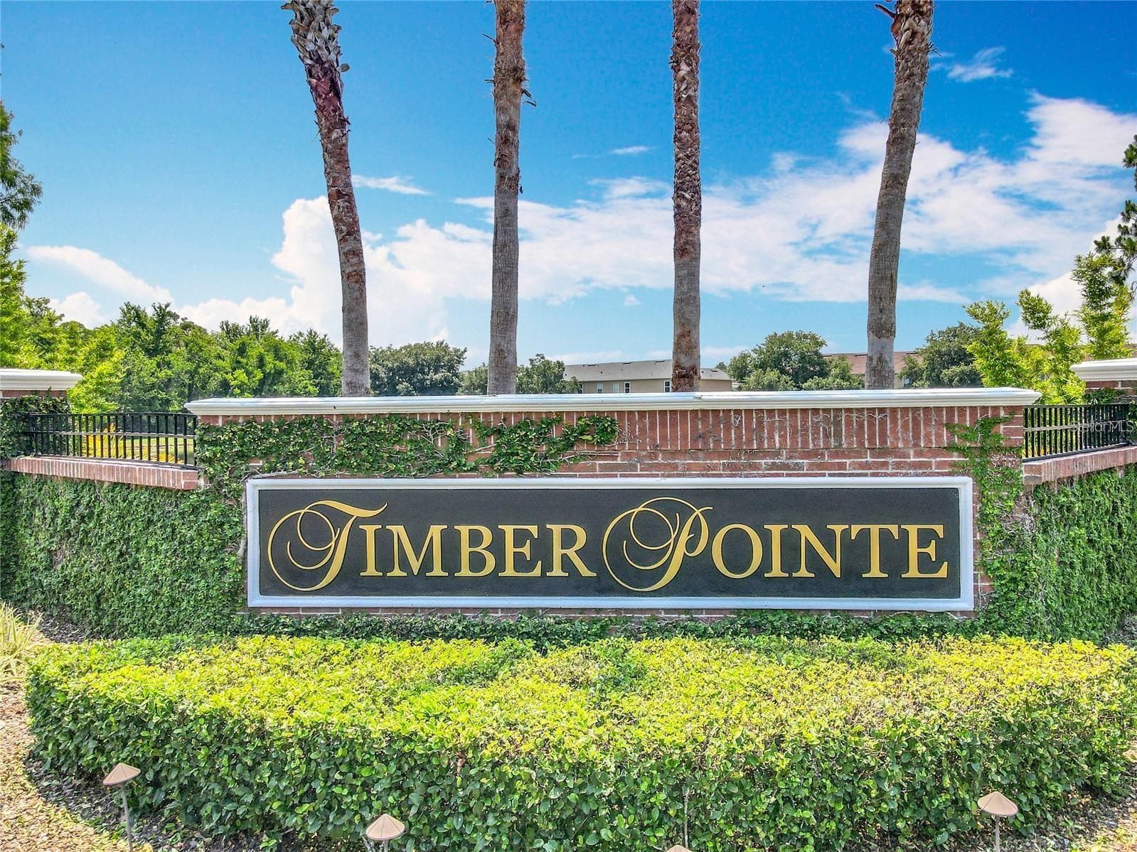 Timber Pointe - 16543 CEDAR CREST DR, ORLANDO