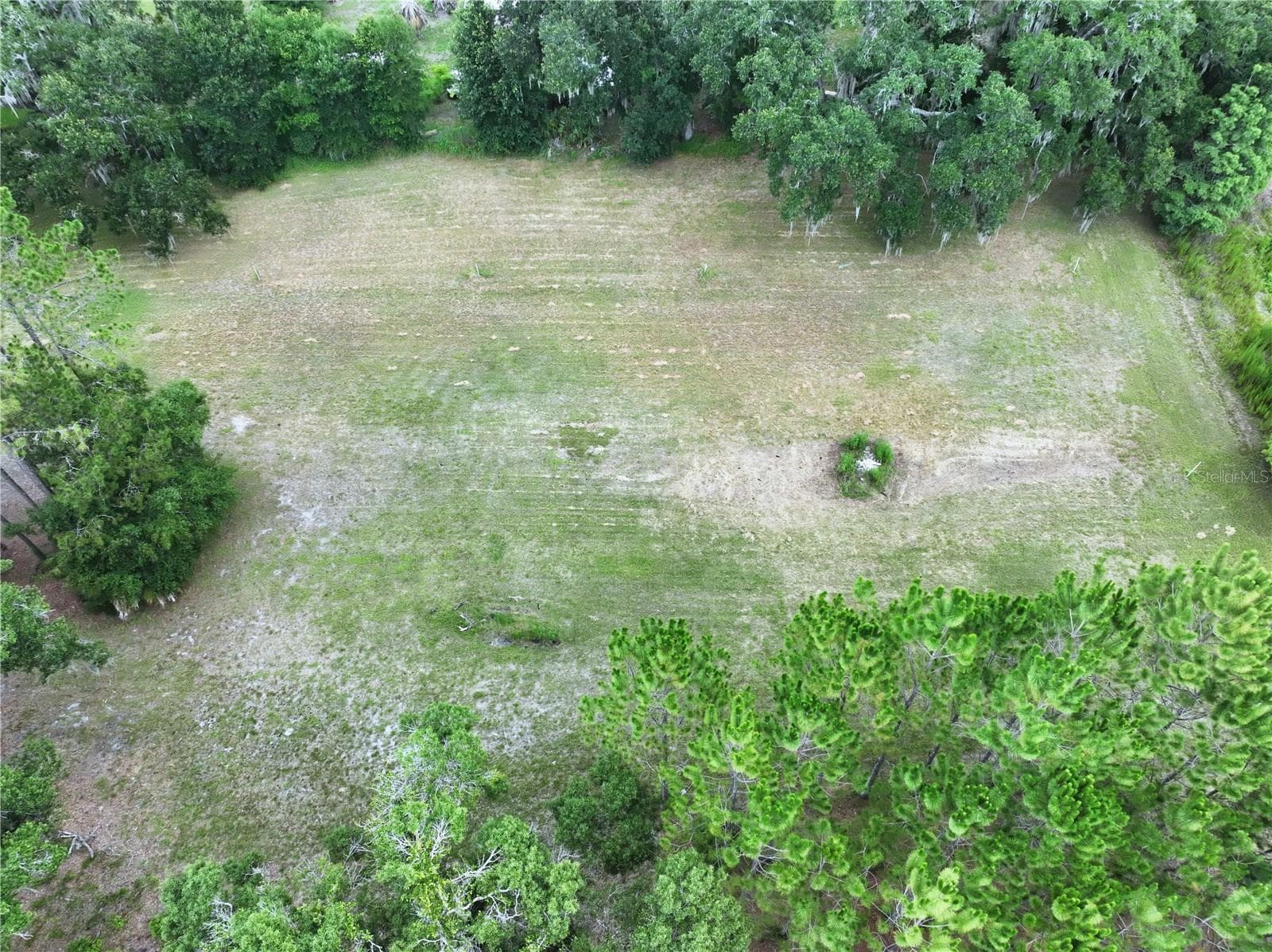 Land at 16605 HAPPY GARDEN WAY, LUTZ, photo 7 of 20