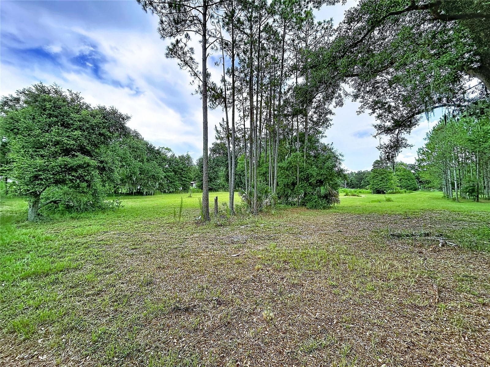 Land at 16605 HAPPY GARDEN WAY, LUTZ, photo 12 of 20