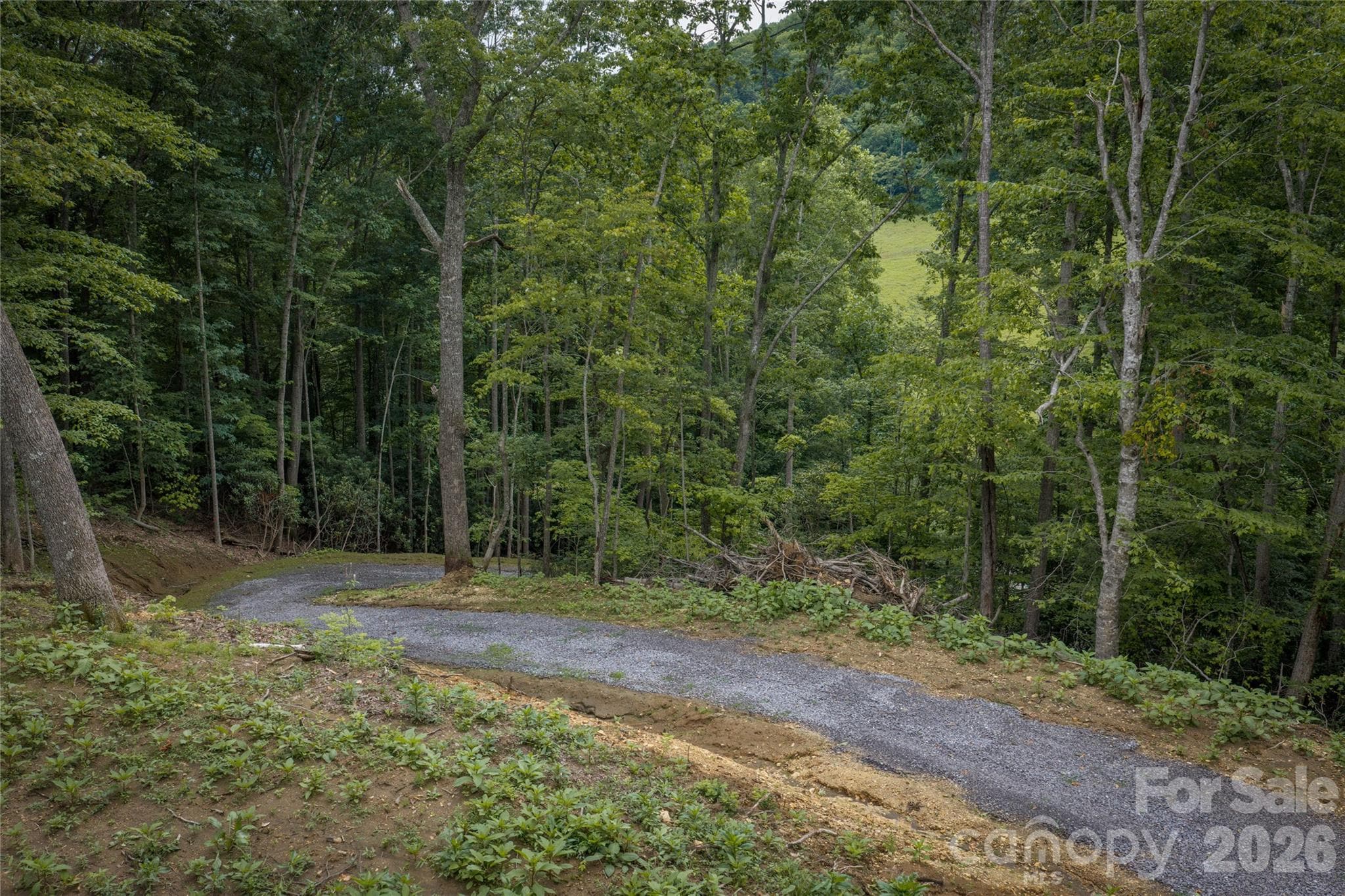 Newly graded driveway to potential homesite - 7 Wid Smith Road, Burnsville