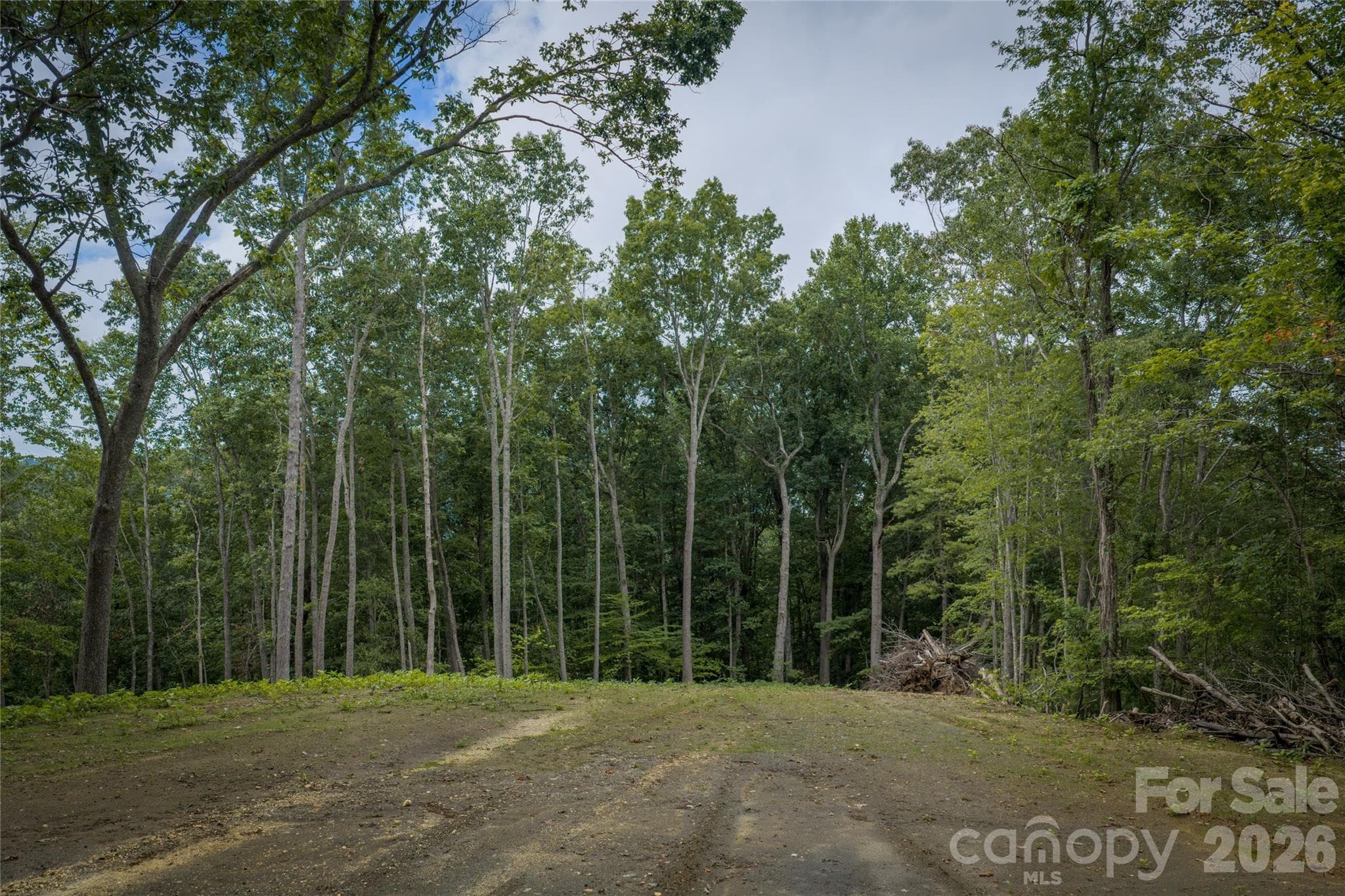 Potential secondary homesite - 7 Wid Smith Road, Burnsville