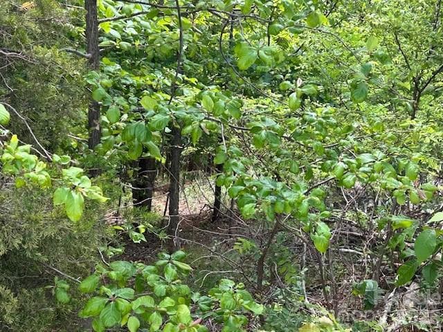 Lot at 0 Azule Ridge, Bostic, photo 12 of 18