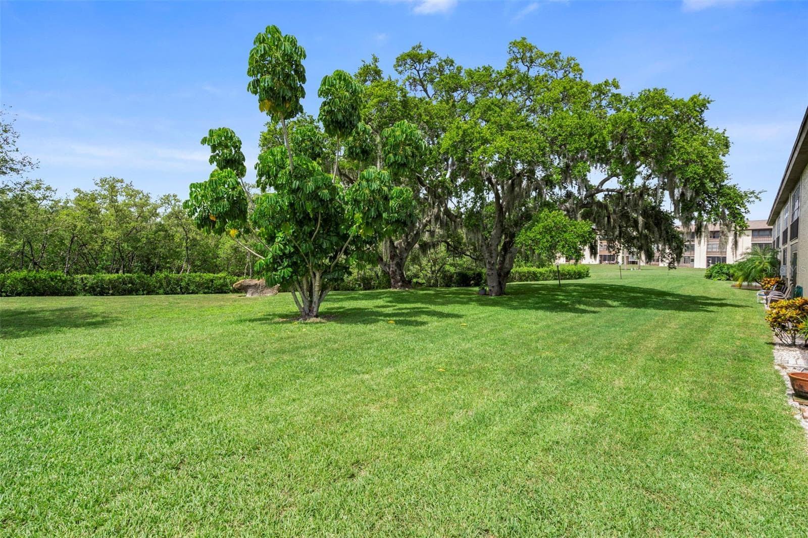 Condominium at 4849 ONYX LN #204, NEW PORT RICHEY, photo 17 of 19