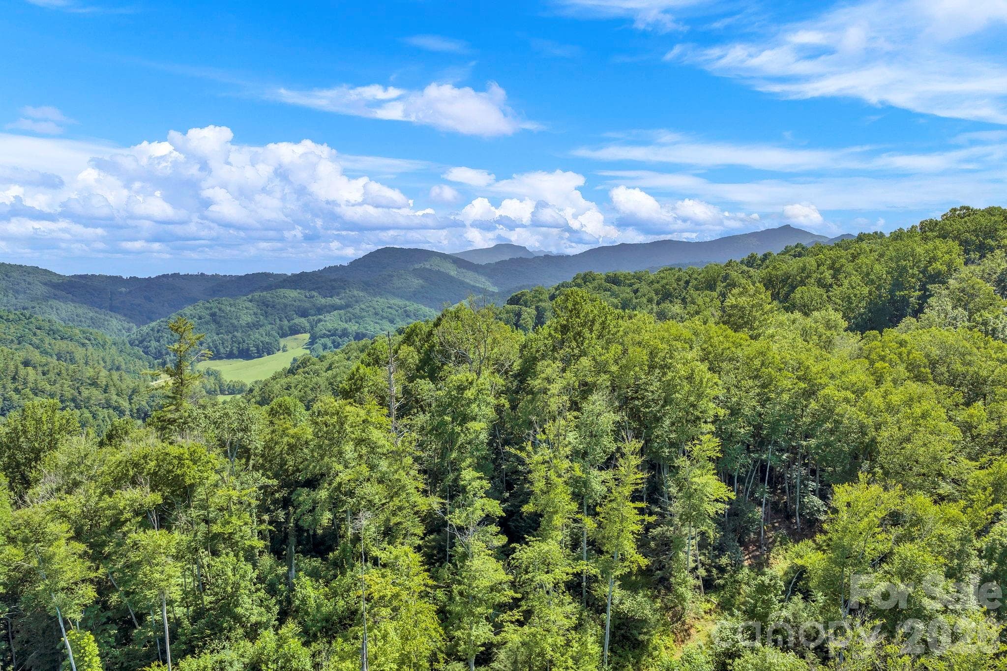 3606 NC Highway 194 None S