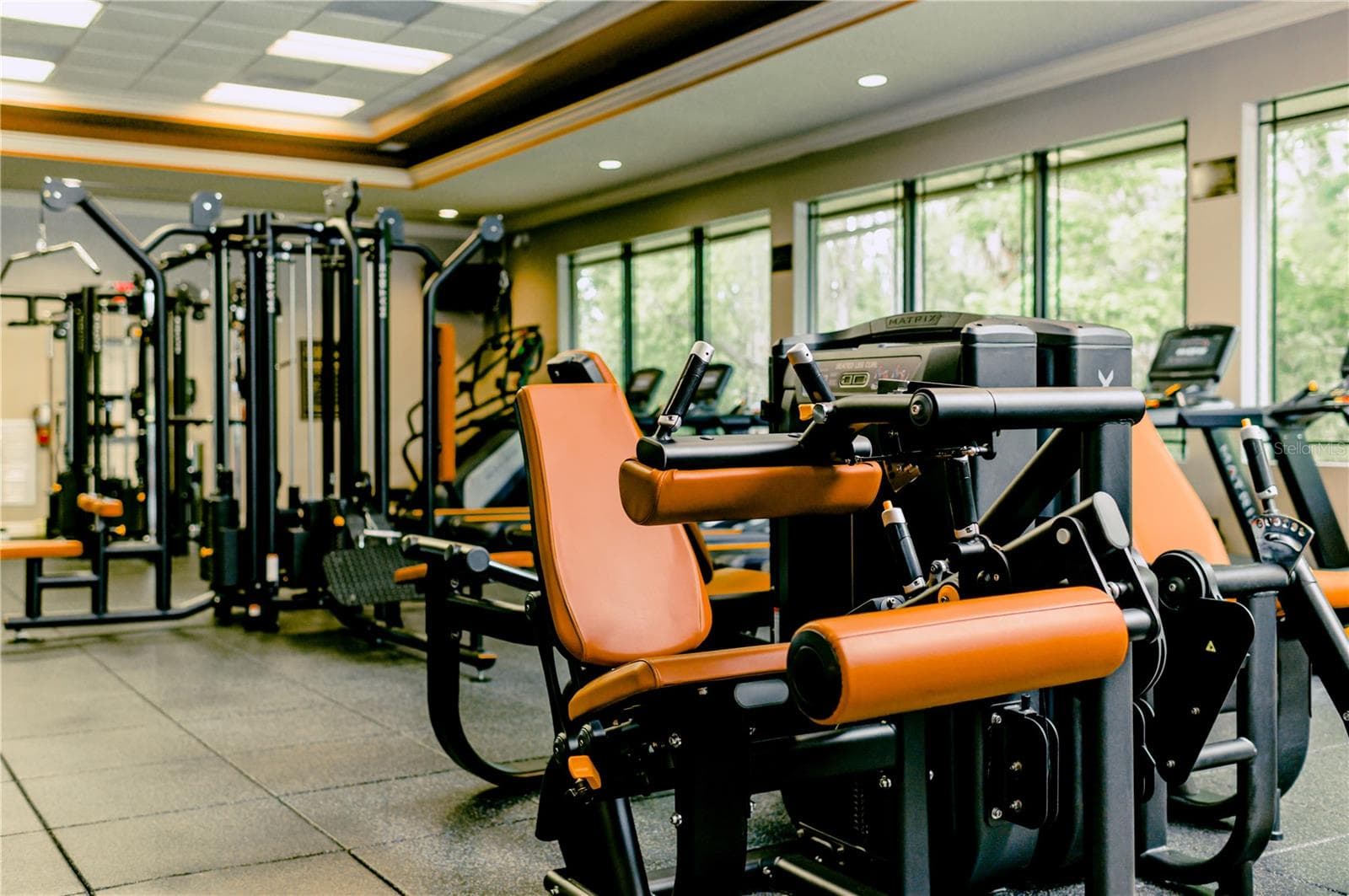 gym - 2589 CORBYTON CT, ORLANDO