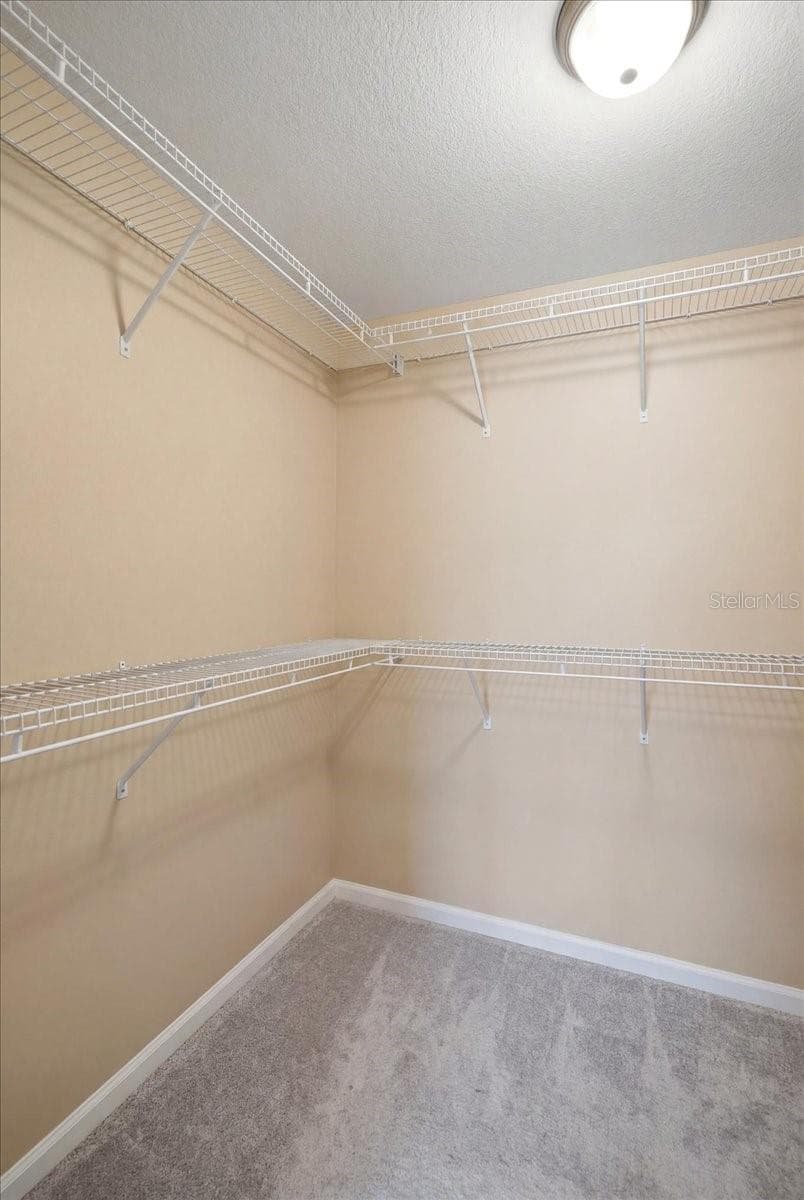 Primary walk-in closet - 268 OAK LANDING LN, MULBERRY