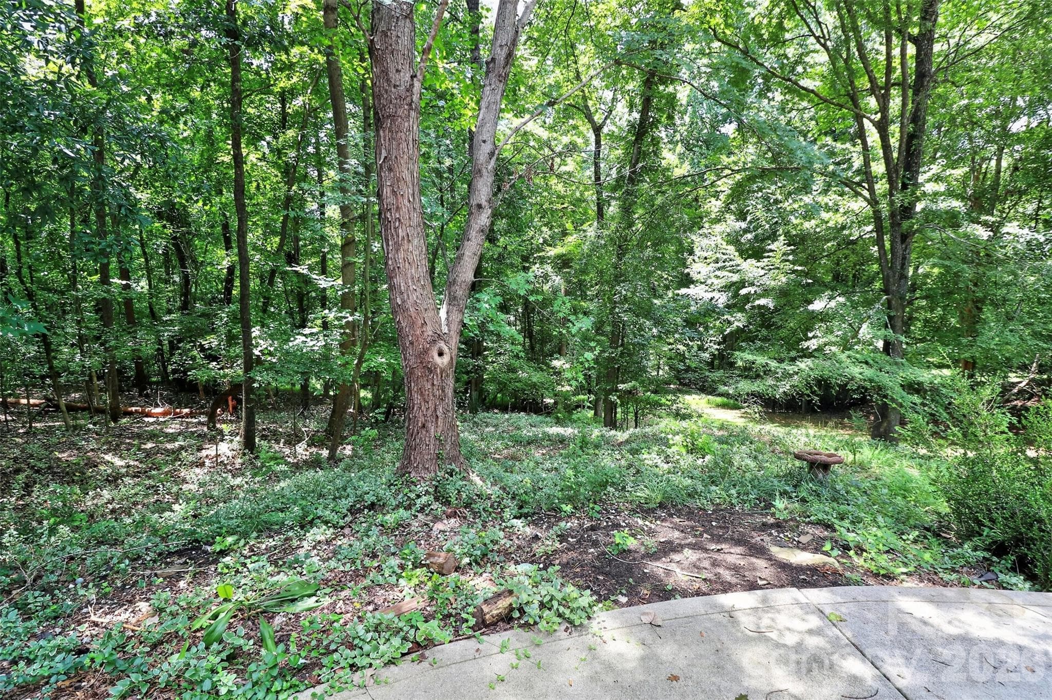Beautiful private lot! - 7912 Ritter Drive, Charlotte