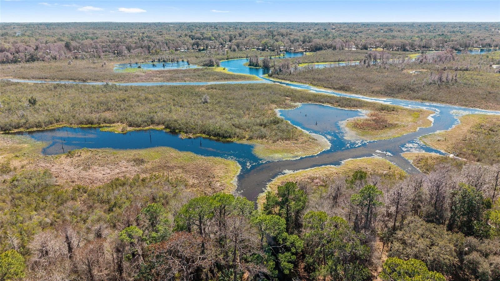 River Retreats has access to the Withlacoochee River, which leads to the Rainbow River and Lake Rousseau - 22817 SW 117TH ST, DUNNELLON