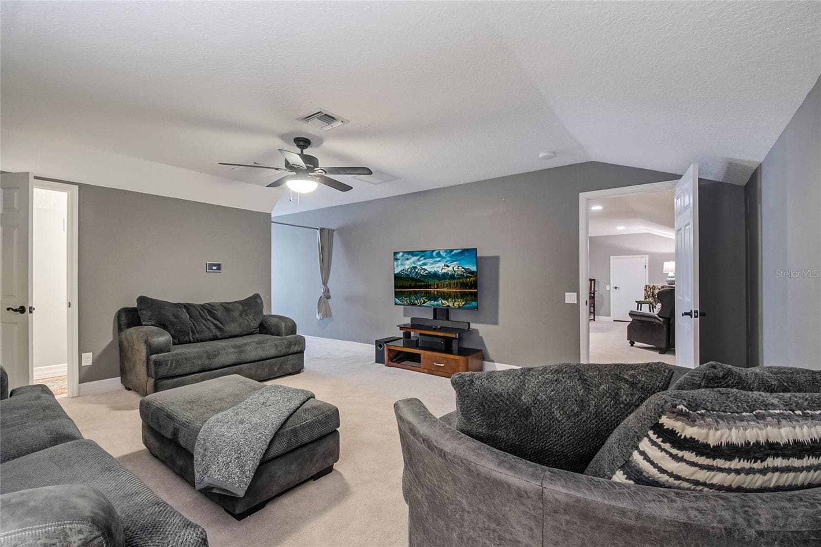 MOVIE ROOM - 450 VALLEY STREAM DR, GENEVA