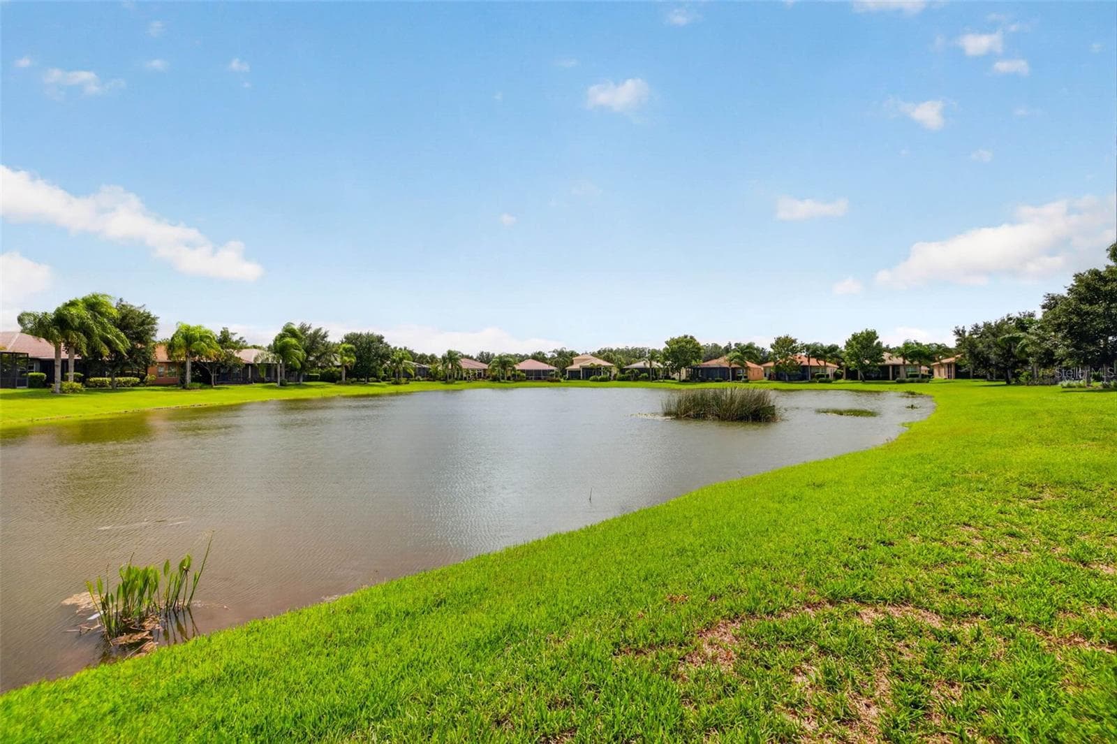 Single Family Residence at 15929 GOLDEN LAKES DR, WIMAUMA, photo 30 of 60