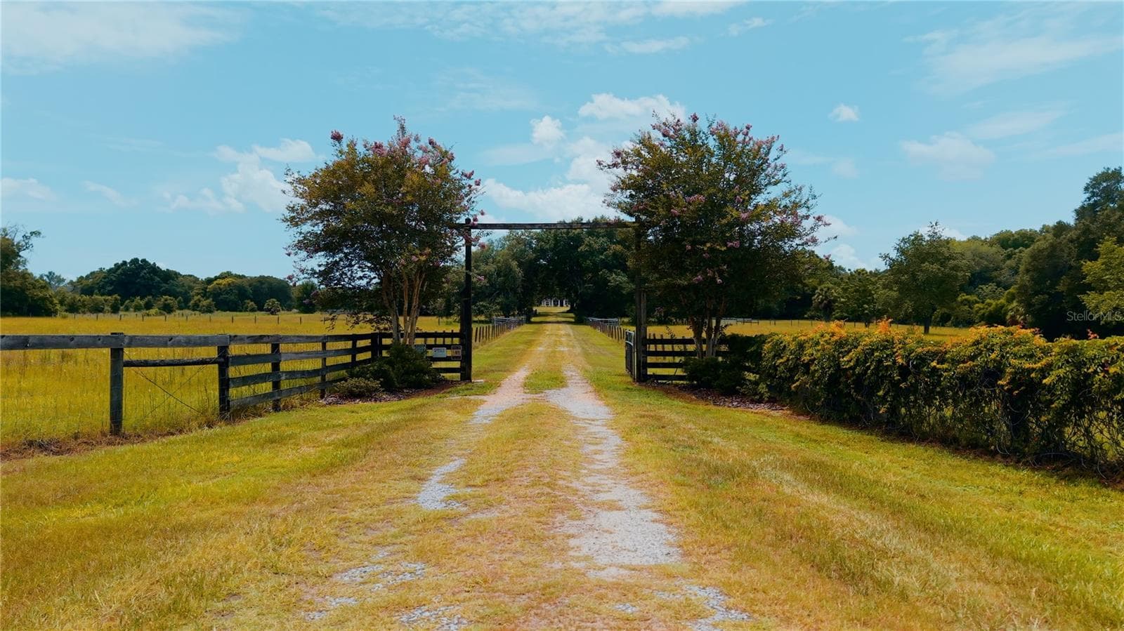 21341 HORSE RANCH RD