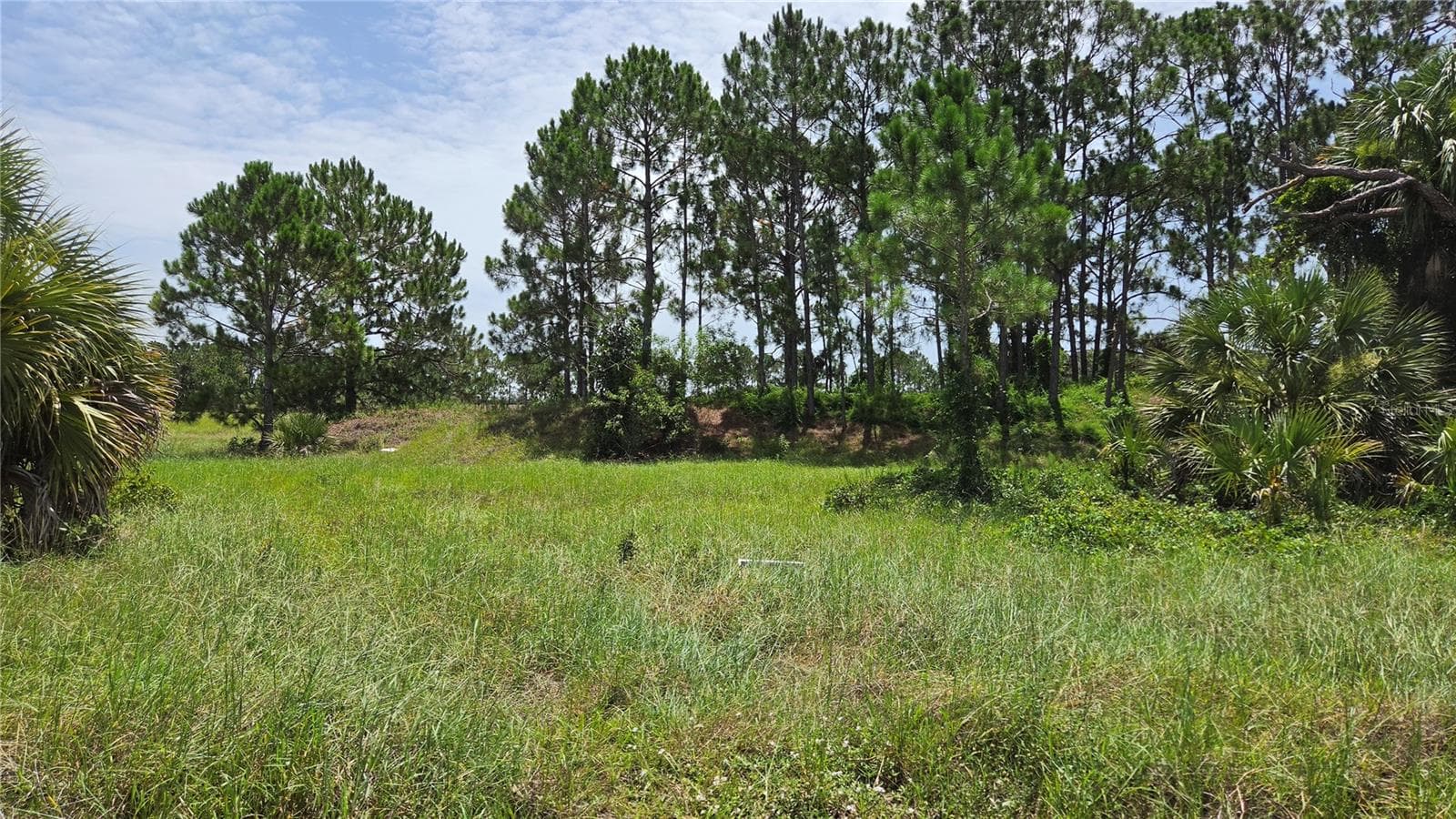 From the front of the lot - 1162 SE 40TH AVE, OKEECHOBEE