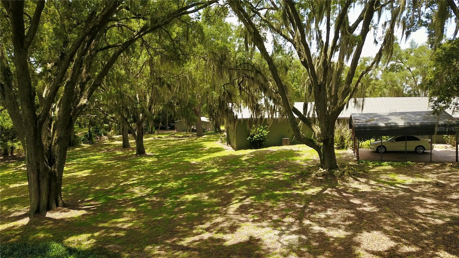 Farm at 16945 W PHIL C PETERS RD, WINTER GARDEN, photo 10 of 54