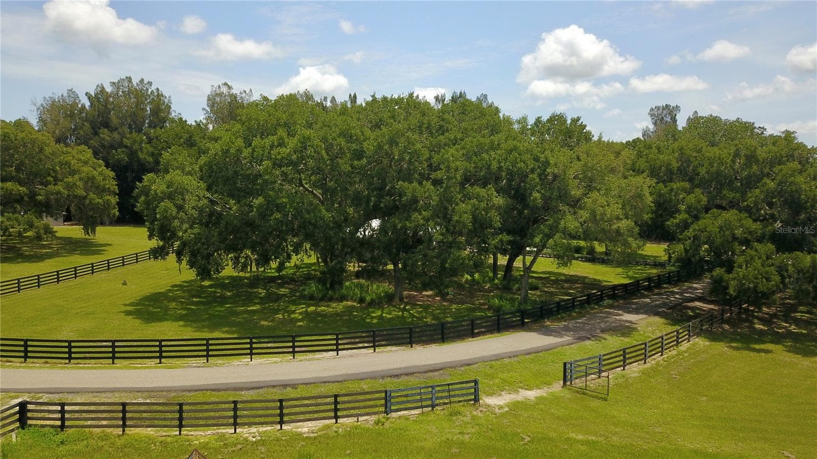 Farm at 16945 W PHIL C PETERS RD, WINTER GARDEN, photo 23 of 54