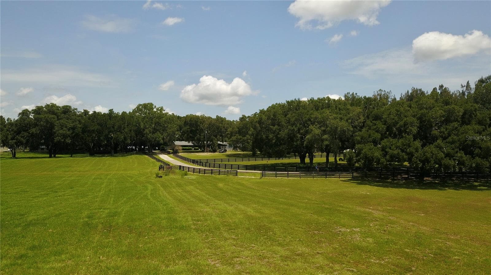 Farm at 16945 W PHIL C PETERS RD, WINTER GARDEN, photo 31 of 54
