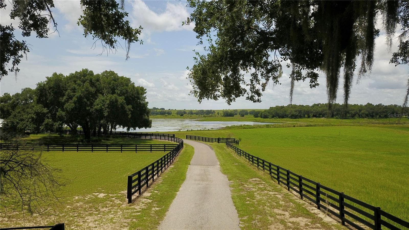 Farm at 16945 W PHIL C PETERS RD, WINTER GARDEN, photo 34 of 54