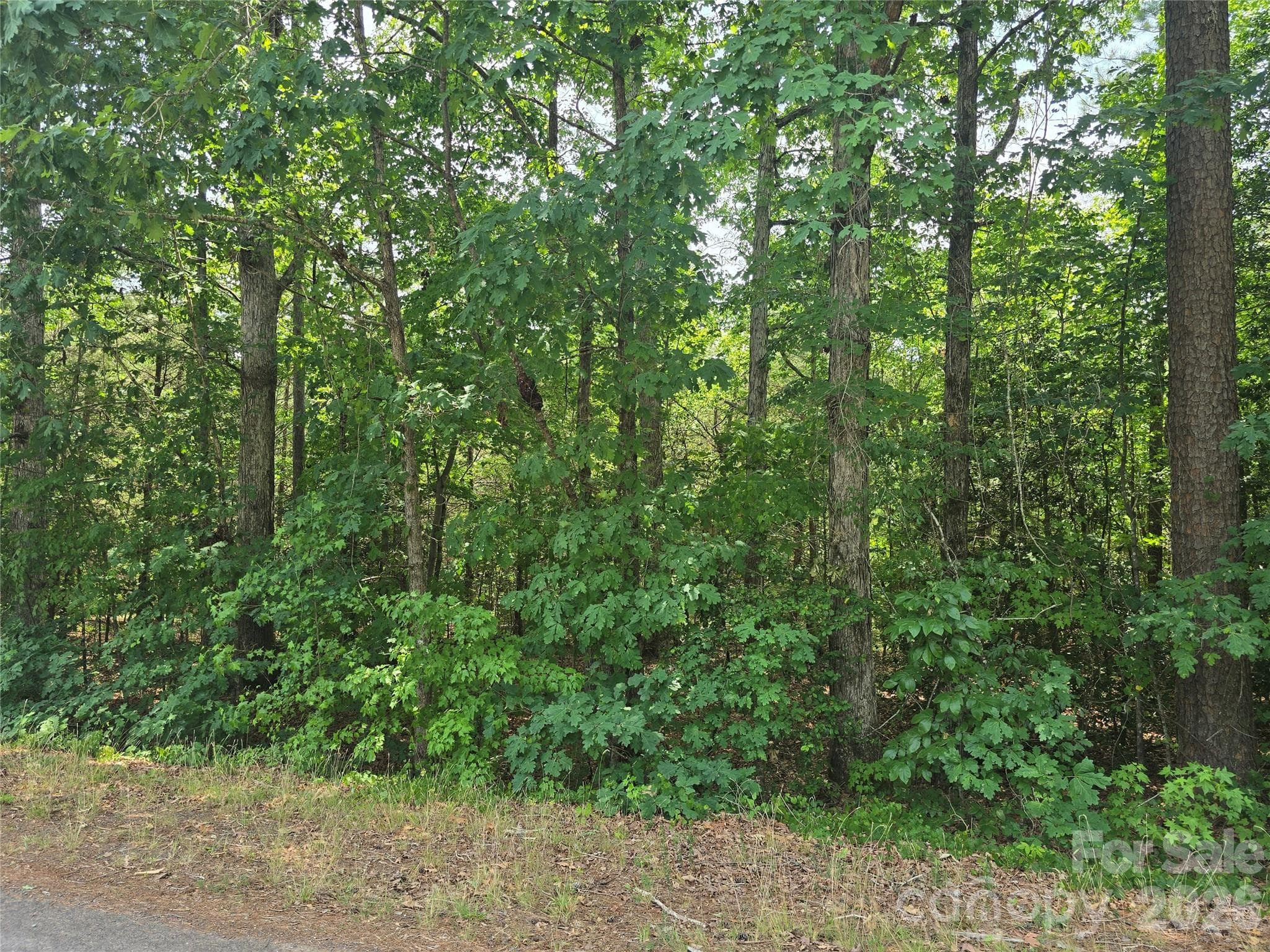 Acreage at 385 Dennis Road, Troy, photo 2 of 4
