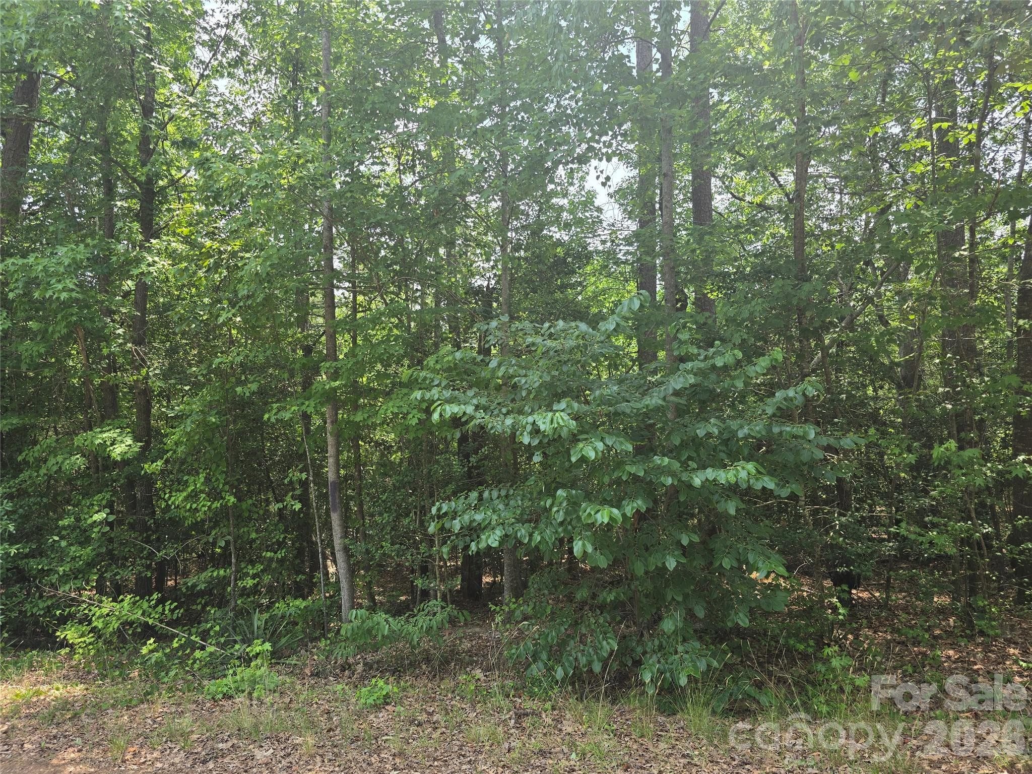 Acreage at 385 Dennis Road, Troy, photo 3 of 4